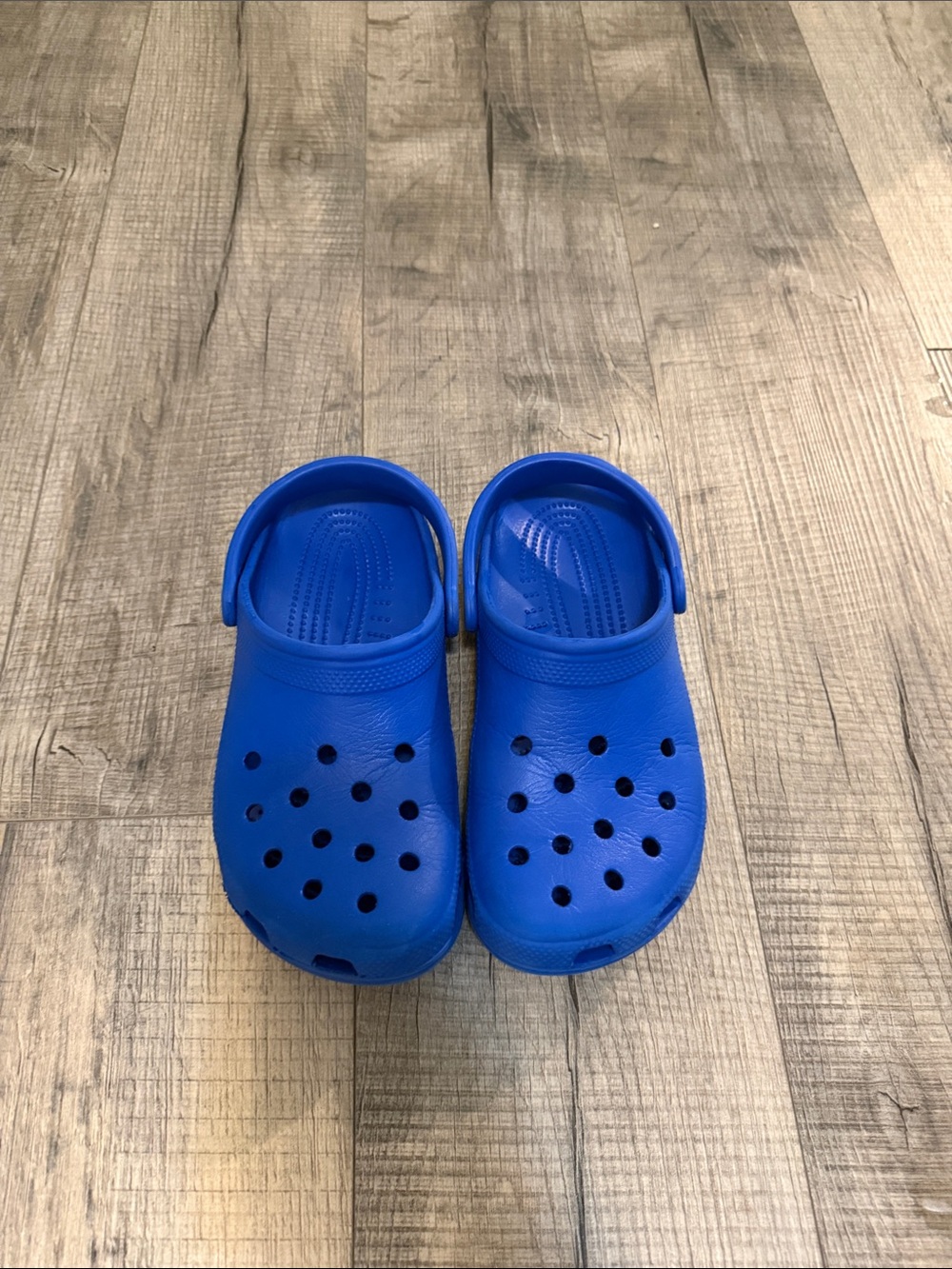 CROCS Kids Classic Clogs in Royal Blue